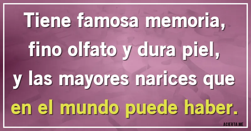 Acertijos - Tiene famosa memoria, fino olfato y dura piel, y las mayores narices que en el mundo puede haber.