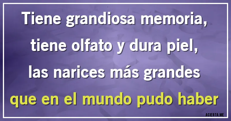 Acertijos - Tiene grandiosa memoria,
tiene olfato y dura piel,
las narices más grandes
que en el mundo pudo haber