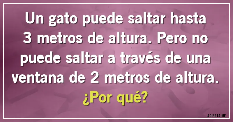 Acertijos - Un gato puede saltar hasta 3 metros de altura. Pero no puede saltar a través de una ventana de 2 metros de altura.
¿Por qué?