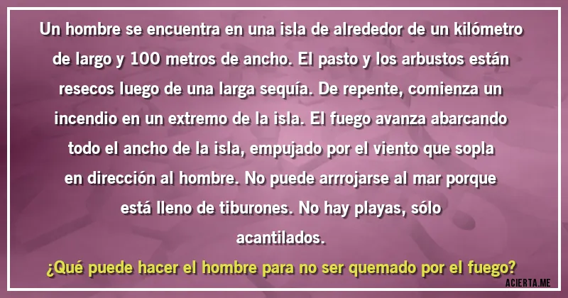 Acertijos - Un hombre se encuentra en una isla de alrededor de un kilómetro de largo y 100 metros de ancho. El pasto y los arbustos están resecos luego de una larga sequía. De repente, comienza un incendio en un extremo de la isla. El fuego avanza abarcando todo el ancho de la isla, empujado por el viento que sopla en dirección al hombre. No puede arrrojarse al mar porque está lleno de tiburones. No hay playas, sólo
acantilados. 
¿Qué puede hacer el hombre para no ser quemado por el fuego?