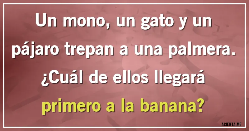 Acertijos - Un mono, un gato y un pájaro trepan a una palmera.
¿Cuál de ellos llegará primero a la banana?