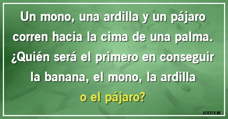 Acertijos - Un mono, una ardilla y un pájaro corren hacia la cima de una palma.
¿Quién será el primero en conseguir la banana, el mono, la ardilla o el pájaro?