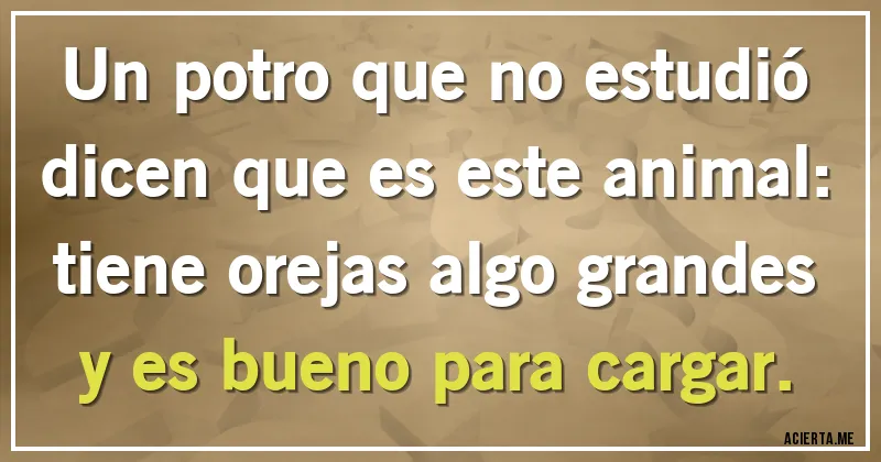 Acertijos - Un potro que no estudió dicen que es este animal: tiene orejas algo grandes y es bueno para cargar.