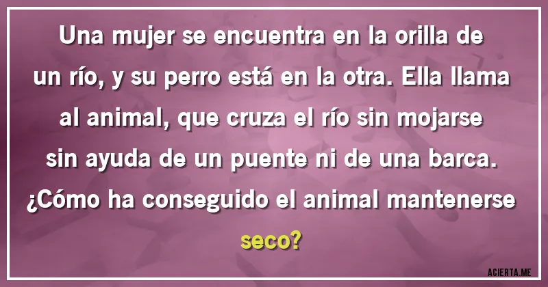 Acertijos - Una mujer se encuentra en la orilla de un río, y su perro está en la otra. Ella llama al animal, que cruza el río sin mojarse sin ayuda de un puente ni de una barca. 
¿Cómo ha conseguido el animal mantenerse seco?