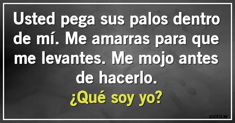Acertijos - Usted pega sus palos dentro de mí. Me amarras para que me levantes. Me mojo antes de hacerlo. 
¿Qué soy yo?