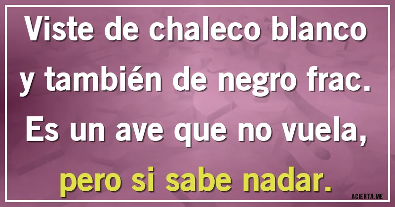 Acertijos - Viste de chaleco blanco y también de negro frac. Es un ave que no vuela, pero si sabe nadar.