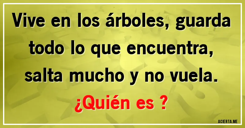 Acertijos - Vive en los árboles, guarda todo lo que encuentra, salta mucho y no vuela. 
¿Quién es ?