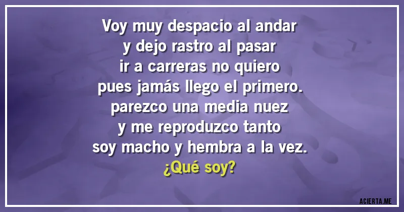 Acertijos - Voy muy despacio al andar
y dejo rastro al pasar
ir a carreras no quiero
pues jamás llego el primero.
parezco una media nuez
y me reproduzco tanto
soy macho y hembra a la vez.
¿Qué soy?