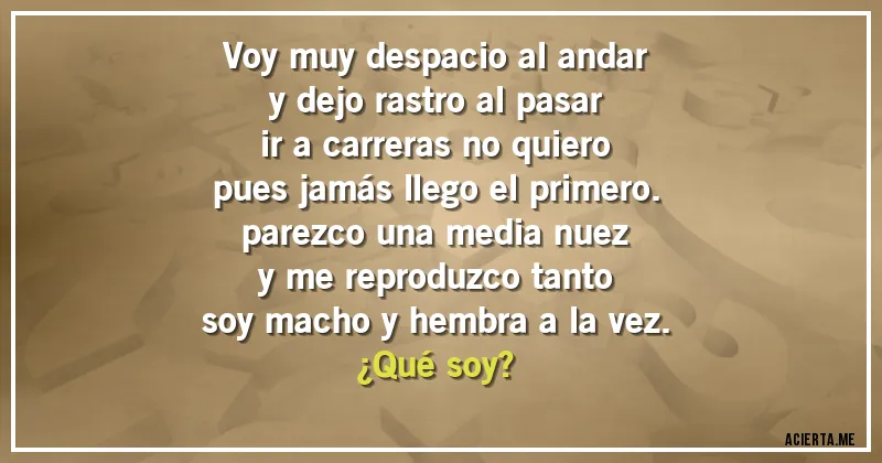 Acertijos - Voy muy despacio al andar
y dejo rastro al pasar
ir a carreras no quiero
pues jamás llego el primero.
parezco una media nuez
y me reproduzco tanto
soy macho y hembra a la vez.
¿Qué soy?