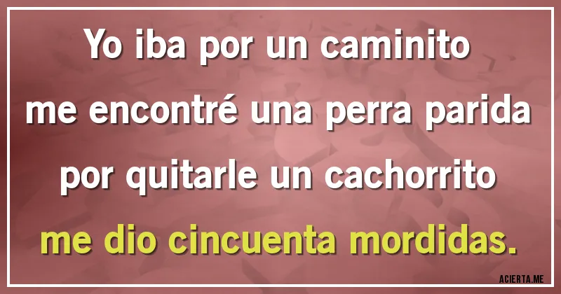 Acertijos - Yo iba por un caminito
me encontré una perra parida
por quitarle un cachorrito
me dio cincuenta mordidas.