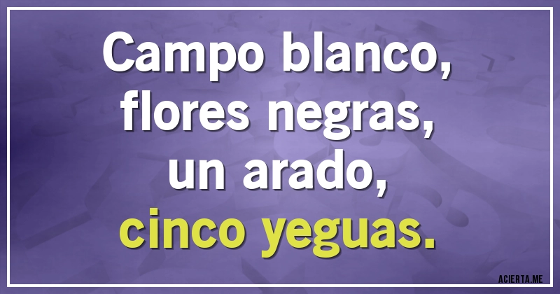 Acertijos - Campo blanco,
flores negras,
un arado,
cinco yeguas.