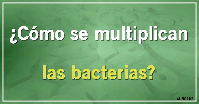 Acertijos - ¿Cómo se multiplican las bacterias?