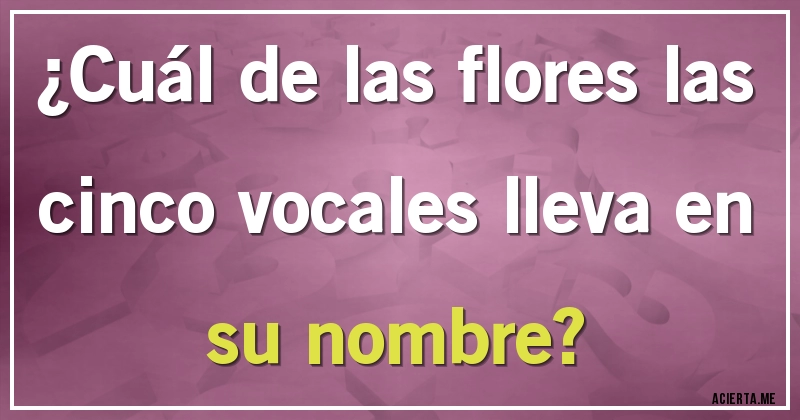 Acertijos - ¿Cuál de las flores las cinco vocales lleva en su nombre?