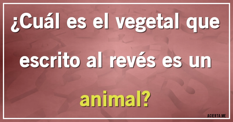 Acertijos - ¿Cuál es el vegetal que escrito al revés es un animal?
