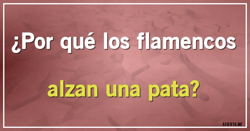 Acertijos - ¿Por qué los flamencos alzan una  pata?