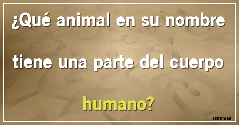 Acertijos - ¿Qué animal en su nombre tiene una parte del cuerpo humano?