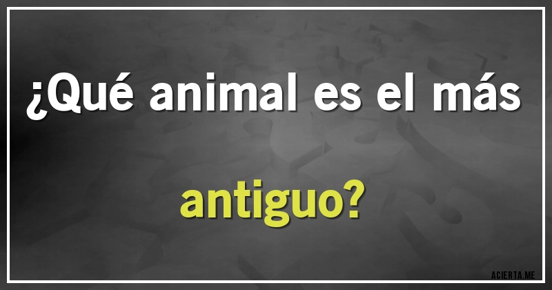 Acertijos - ¿Qué animal es el más antiguo?