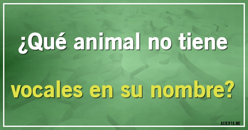Acertijos - ¿Qué animal no tiene vocales en su nombre?