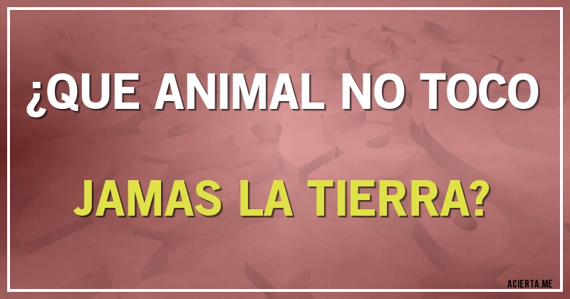 Acertijos - ¿QUE ANIMAL NO TOCO JAMAS LA TIERRA?