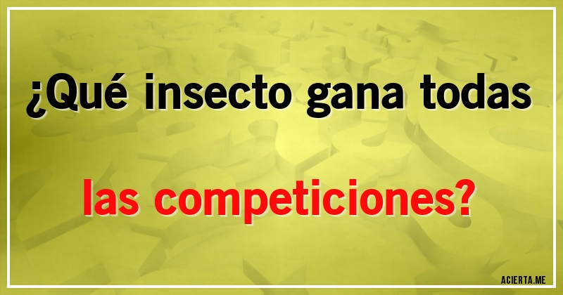 Acertijos - ¿Qué insecto gana todas las competiciones?
