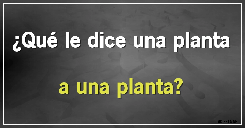 Acertijos - ¿Qué le dice una planta a una planta?