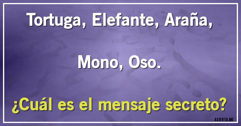Acertijos - Tortuga, Elefante, Araña, Mono, Oso. 
¿Cuál es el mensaje secreto?