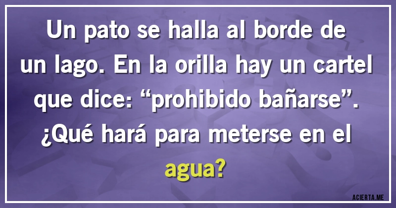 Acertijos - Un pato se halla al borde de un lago. En la orilla hay un cartel que dice: “prohibido bañarse”. 
¿Qué hará para meterse en el agua?